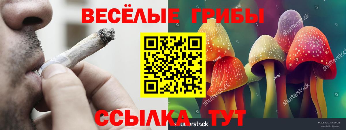 Галлюциногенные грибы Cubensis  Галлюциногенные грибы Psilocybine cubensis  Вход с VPN  Егорьевск 